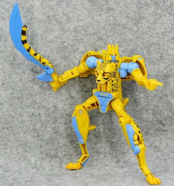 custom kingdom cheetor